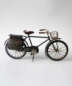 دوچرخه فلزی 8702